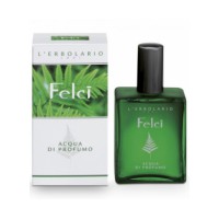 Felci