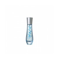 Almizcle de BV