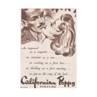 California Poppy