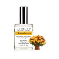 Chrysanthemum