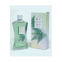 English Fern