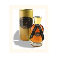 Established Cognac 66