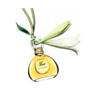 First Jasmin de Chine