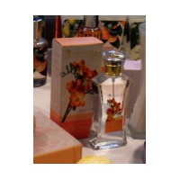 Freesia