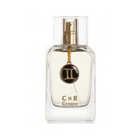 Gemini for Men