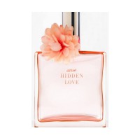Hidden Love