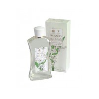 Lily of the Valley