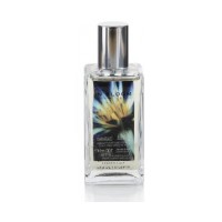 Lotus Flower and Ginger Lily