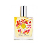 mark Citrus Bloom