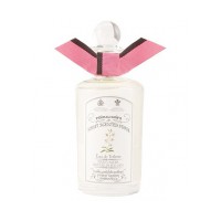 Night Scented Stock