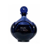 Nuit d`Orchidee