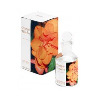 Orange Flowers