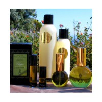 Perfect Chypre