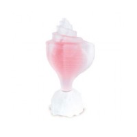 Pink Conch