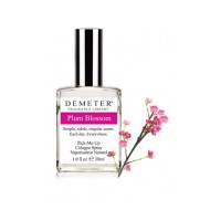 Plum Blossom