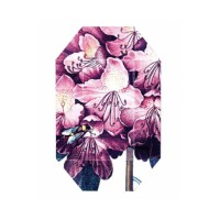 Print Collection Stella 01 (2011)