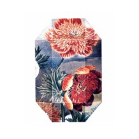 Print Collection Stella 03 (2011)