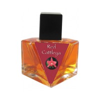 Red Cattleya