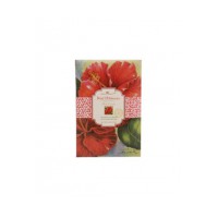 Red Hibiscus
