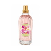 Rose des Champs