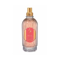 Rose Jardin Delice