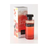Scarlet Larkspur