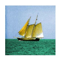 Sea Wood