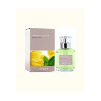 Verveine Agrumes