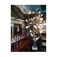 Aoud Violet