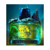 Electric Wood