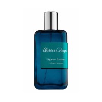 Figuier Ardent