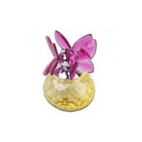Flower Season Butterfly Dreams