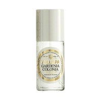Gardenia Colonia