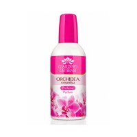 Orchidea Romantica
