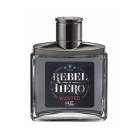 Rebel Hero Wanted