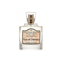 Rosa di Damasco