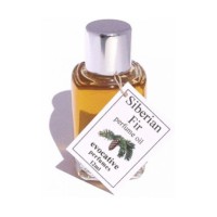 Siberian Fir