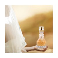 Wedding Secrets Gold
