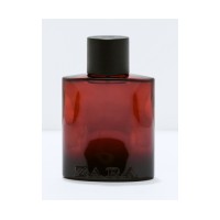 Zara Spicy
