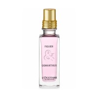 Figuier & Osmanthus