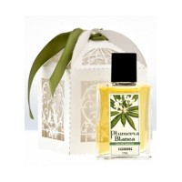 Plumeria Blanca