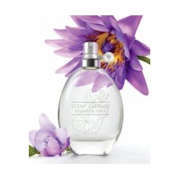 Scent Essence - Blooming Lotus