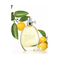 Scent Essence - Wild Bergamot