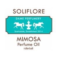 Soliflore Mimosa