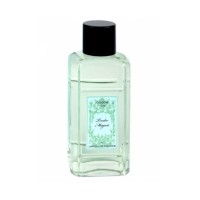 Tendre Muguet