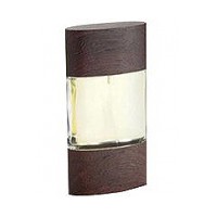 Essenza di Zegna Intense