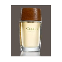 Cereus No.7