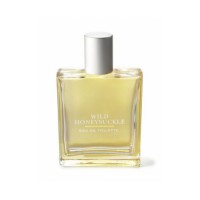 Wild Honeysuckle