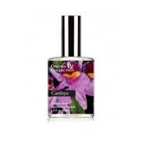 Cattleya Orchid