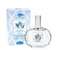 Lavanda